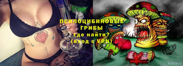 индика Абдулино